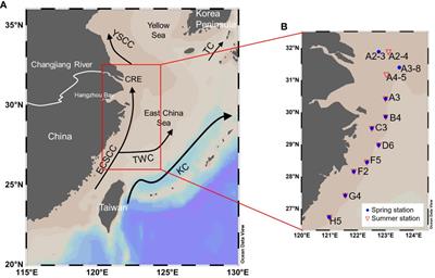 Vertical distributions of lipid biomarkers in spring and summer in coastal regions of the East China Sea